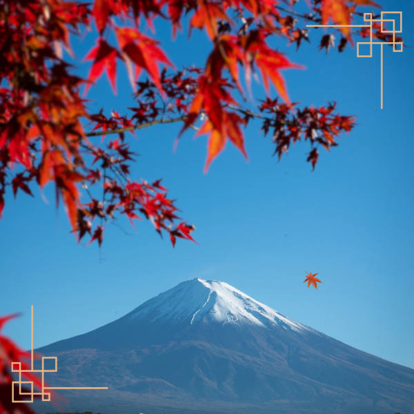 涼しくなってきたからこそ気を付けて！